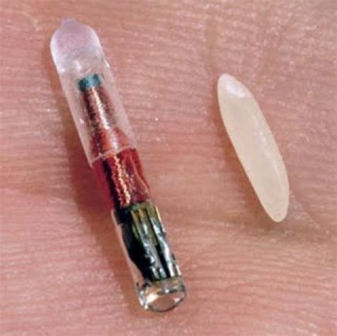 swedish company rfid chips|swedish office rfid chips.